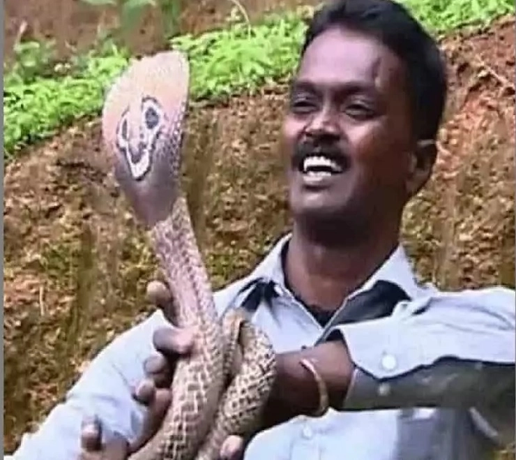250 वेळा साप चावला तरीही जिवंत, 50 हजारांहून अधिक साप पकडले