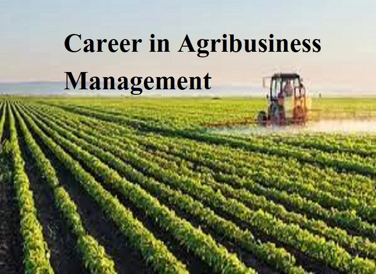 Career after 12th BBA Agribusiness Management : बीबीए अॅग्रीबिझनेस मॅनेजमेंट मध्ये करिअर बनवा, पात्रता ,व्याप्ती जाणून घ्या