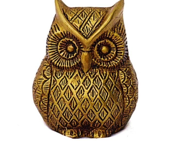 Owl Bring Good Luck घरात घुबड ठेवल्याने उजळेल नशीब, जाणून घ्या कोणत्या दिशेला ठेवल्याने फायदा होईल