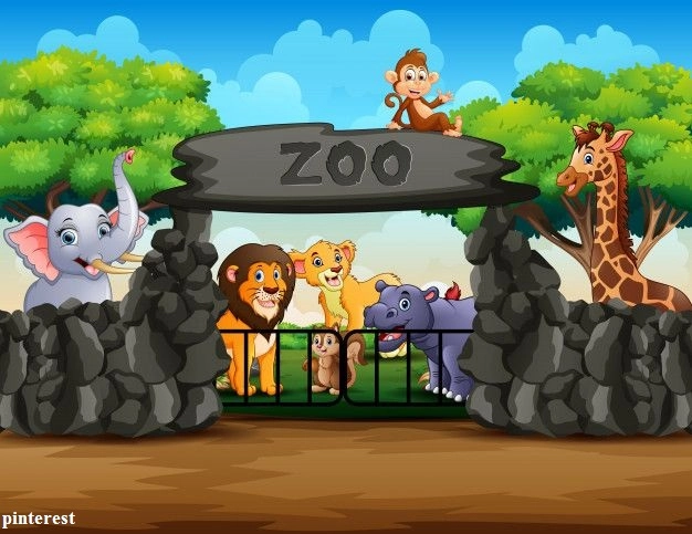 zoo