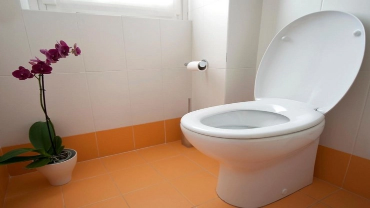 Vastu Tips :चुकीच्या दिशेने टॉयलेट बनवले तर होतो वास्तुदोष, जाणून घ्या या 10 खास गोष्टी