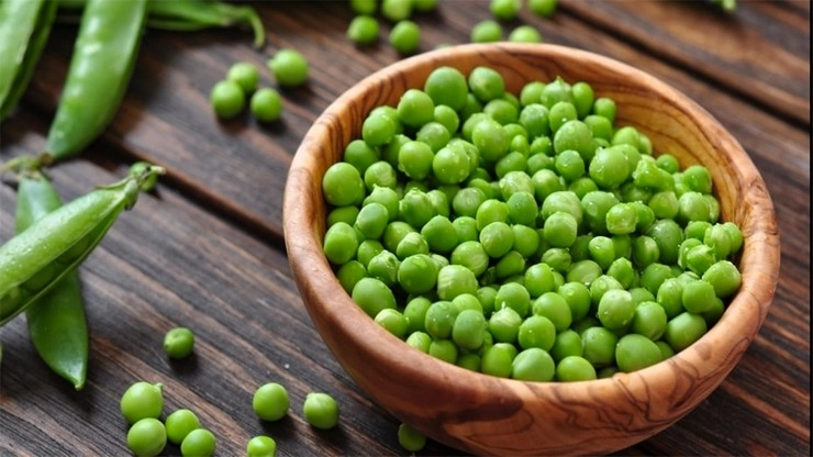 हरी मटर के क्या हैं benefits?  Pea Protein कैसे बनता है? नकली मटर की कैसे करें पहचान?