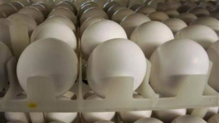 Egg Storage Tips अंडी फ्रीजमध्ये ठेवावी की नाही ? खराब झालेली अंडी कशी ओळखायची