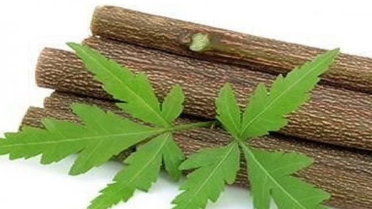 வேப்பங்குச்சி