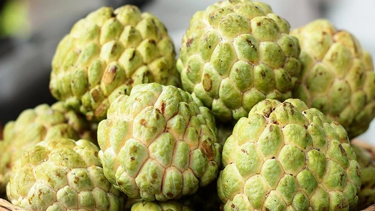 Custard Apple