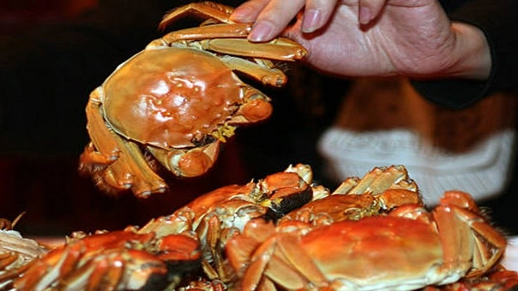 crab eat in china
