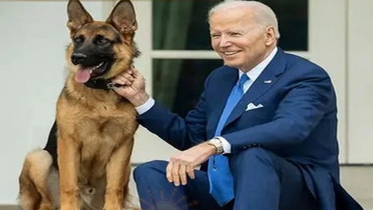 america president with dog