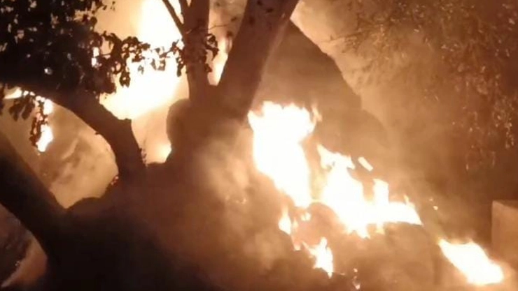 उत्तराखंड मध्ये जंगलात पसरली आग, पिथौरागढ मध्ये उद्रेक