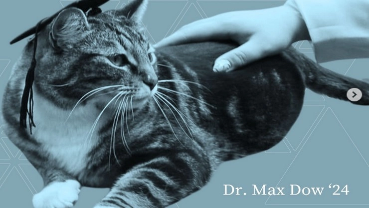 Dr Cat Max
