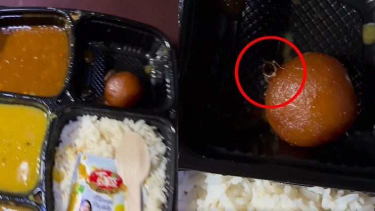 Cockroach in IRCTC Food