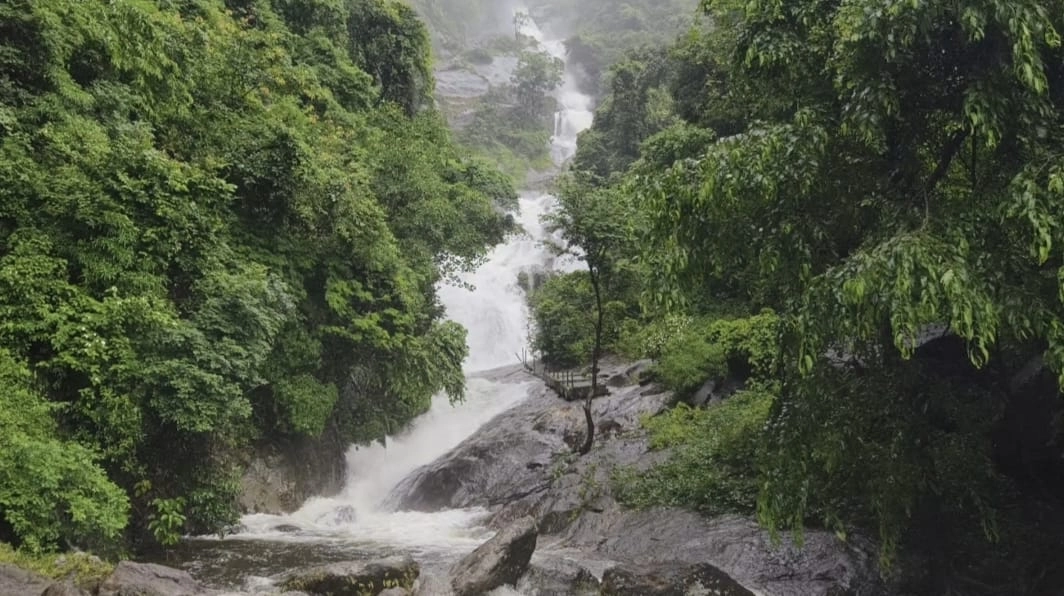 கனமழை காரணமாக கோவை குற்றால அருவியில் வெள்ளப் பெருக்கு : ஆர்ப்பரித்து கொட்டும் தண்ணீர் - நீர் நிரம்பி செல்லும் நொய்யல் ஆறு!