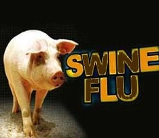 swine flue