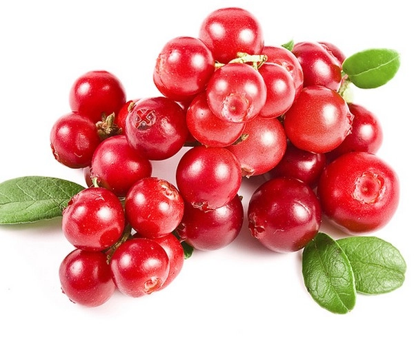 Cranberry | fruit