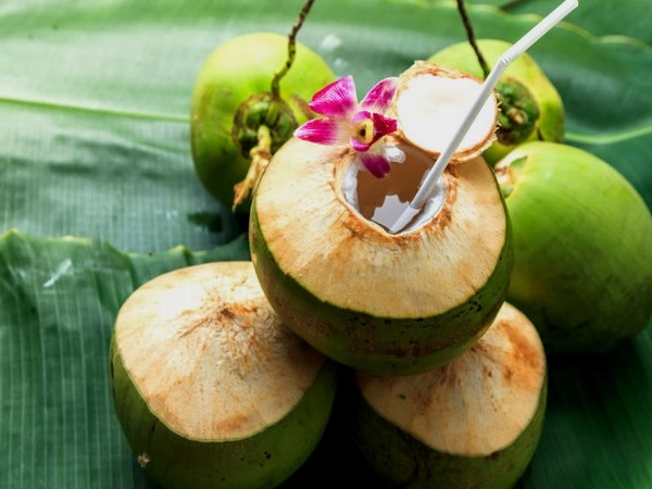 नारियल पानी के फायदे जानकर हैरान रह जाएंगे - benefits of coconut water