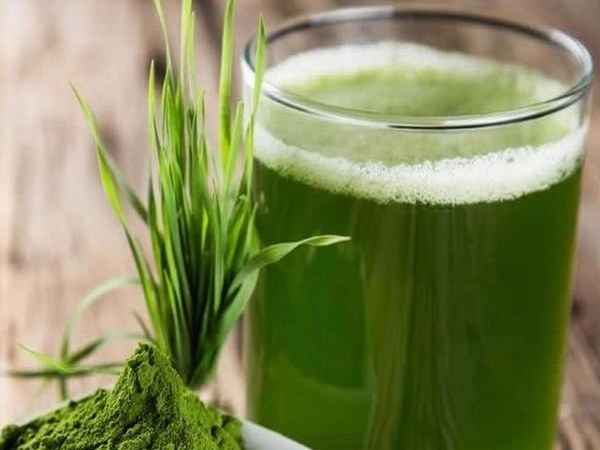 Grass juice
