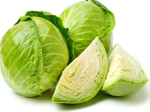 National Cabbage Day, క్యాబేజీ కేన్సర్‌ను ఎదుర్కొంటుంది
