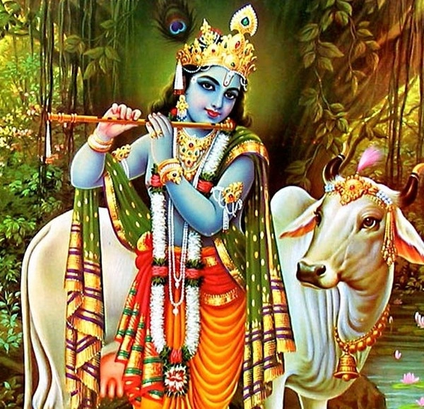 శ్రీకృష్ణ జన్మాష్టమి.. పసుపు రంగు బట్టలు ధరించి..? (video)