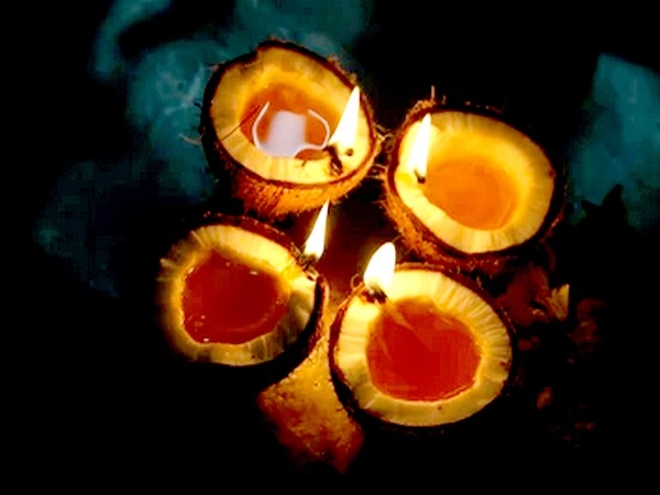 Coconut Lamp