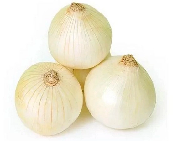 White onion Murabba : सफेद प्याज का मुरब्बा है मर्दों के लिए अमृत समान - White onion Murabba Increase power