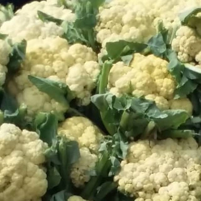 Cauliflower