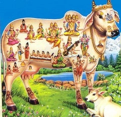 Why animals play little part in early Vedic tradition?