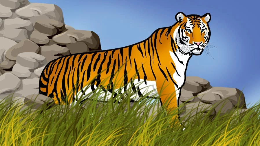 WWF marks ‘Tiger Safe’ around Corbett Tiger Reserve