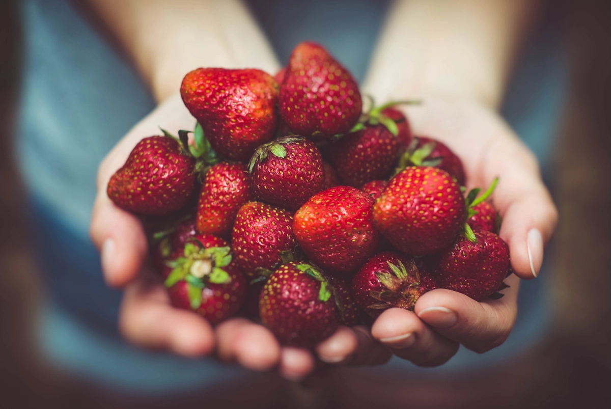 The secrets of strawberries!