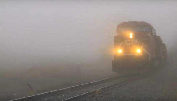 Dense fog shrouds national capital, 52 trains delayed