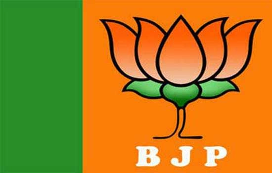 BJP wins Rajouri Garden seat with a huge margin, AAP third