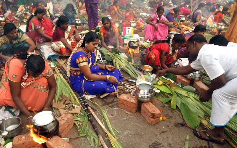 Religious fervour, gaiety mark Pongal celebrations in TN