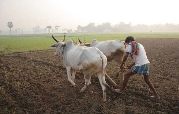 MP farmers begin 10-day 'Gaon Bandh', police alert; no dialogue says Shivkumar