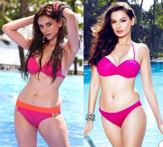 Aditi or Evelyn : Who is the best bikini girl?
