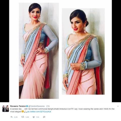 Raveena shuts up a troll who commented on her elegant Sari