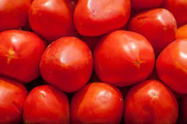No respite from soaring Tomato price across the country