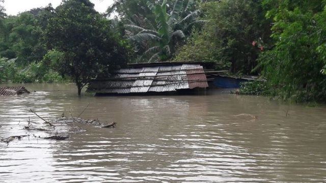 Flood situation in UP remains grim: 48 deaths so far
