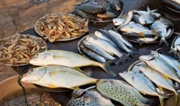 Bengal Govt to start ‘cage culture’ of fish