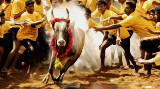 Madras HC bans foreign breed bulls in Jallikattu, directs TN govt to allow native breeds only