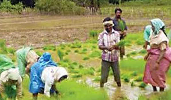Centre coming up with Rs 500-cr fund to compensate farmers in this budget