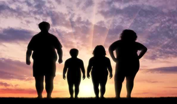 Country's nearly 35.6 percent of population is obese: Mandaviya