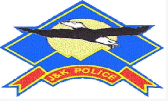 5 foreign, a local LeT militants involved in civilian killing in Bandipora identified: police