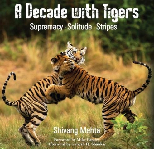 Tigers: India's brand ambassadors