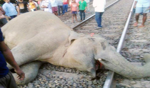 Train accident of four jumbos is the most sad incident of today