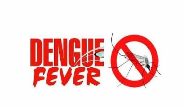 Dengue fever: No symptoms, primary transmitters!