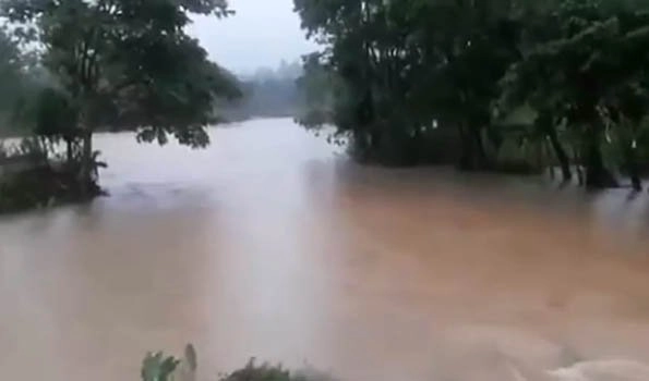 Assam: Incessant rains causes flash floods in many areas