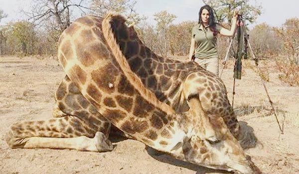 This lady hunter is being criticized for posing with dead giraffe