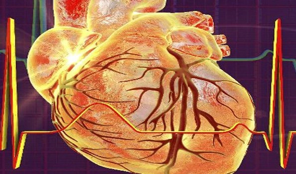 Rheumatic fever-heart disease significant cause of cardiovascular ailments
