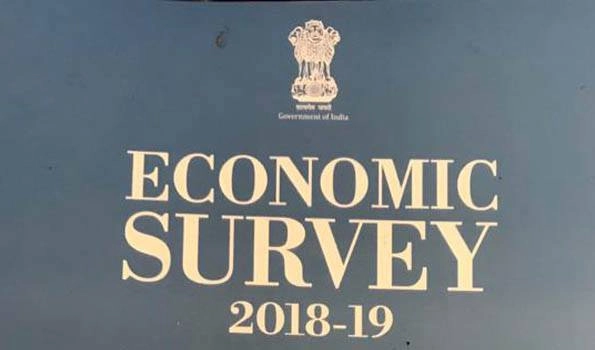 What Economic survey said about GDP,SDG,CAD and other factors