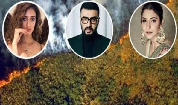 Bollywood expresses concern over Amazon rainforest wildfires