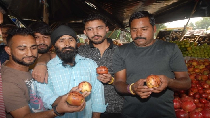 Apples with 'Azadi', 'Pakistan zindabad' slogans recovered from fruit boxes