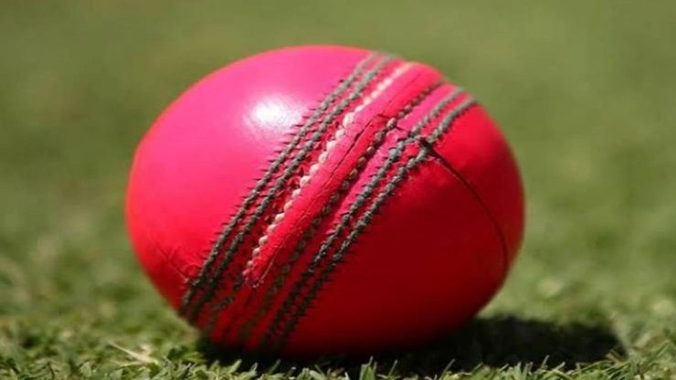 BCCI orders delivery of 72 pink balls for maiden Day-Night Test match